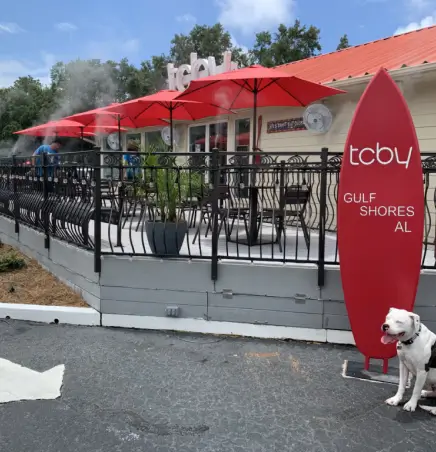 TCBY Gulf Shores misting fans by Mist Works Cool Dog